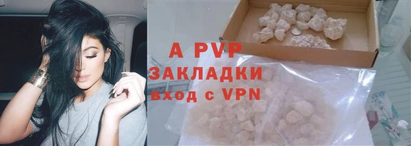 амф Верея
